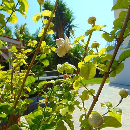 Villa Giovanni Faliraki Bagian luar foto