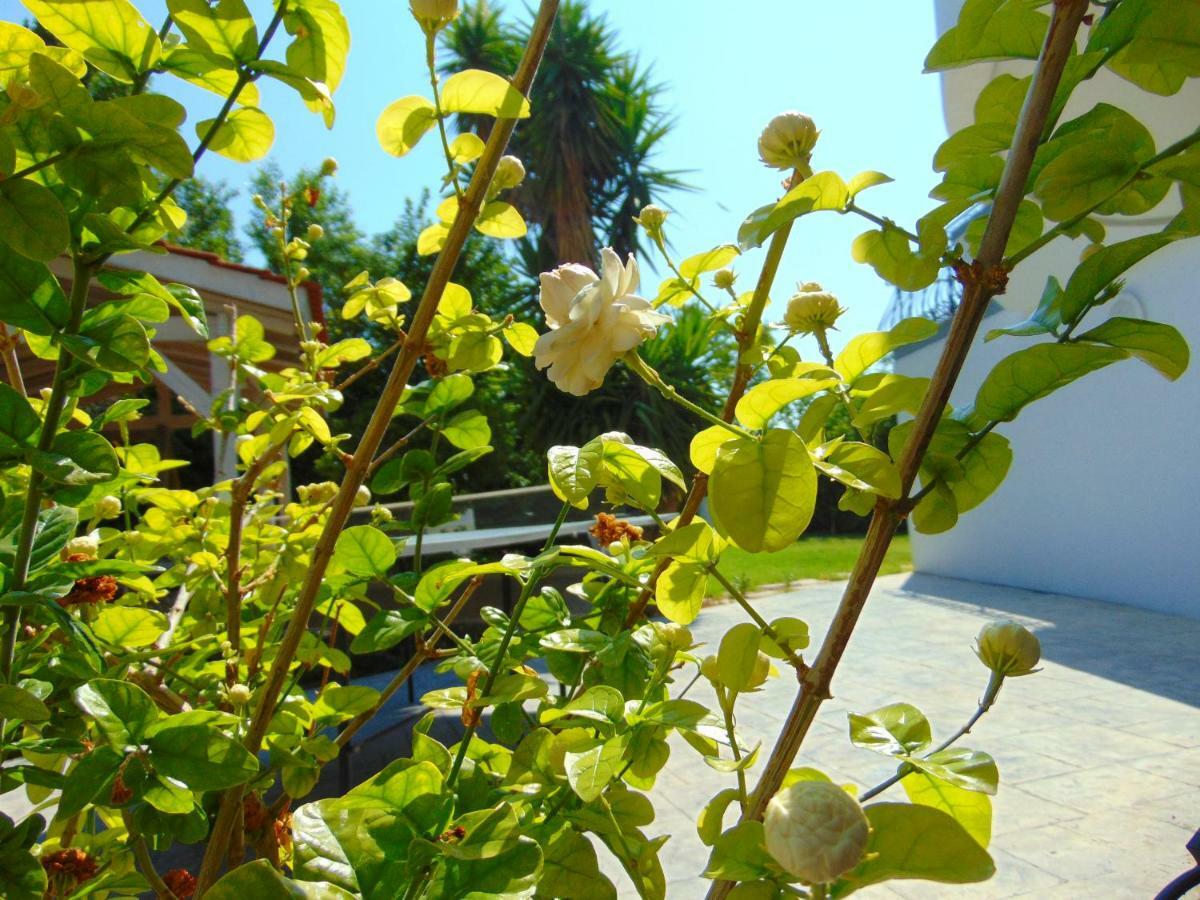 Villa Giovanni Faliraki Bagian luar foto